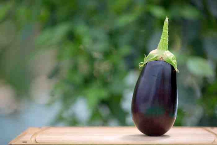 Phuket Gardening: Egging you on… eggplants and aubergines