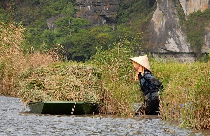 Keep it green: So much water, so little to drink