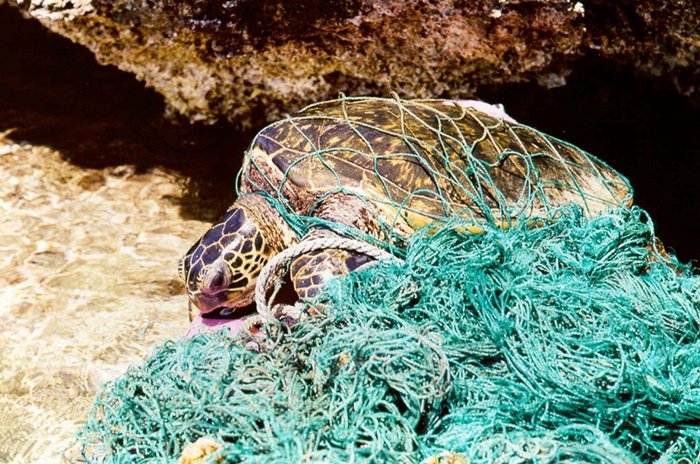 On Deck: Tonnes of trash killing our future