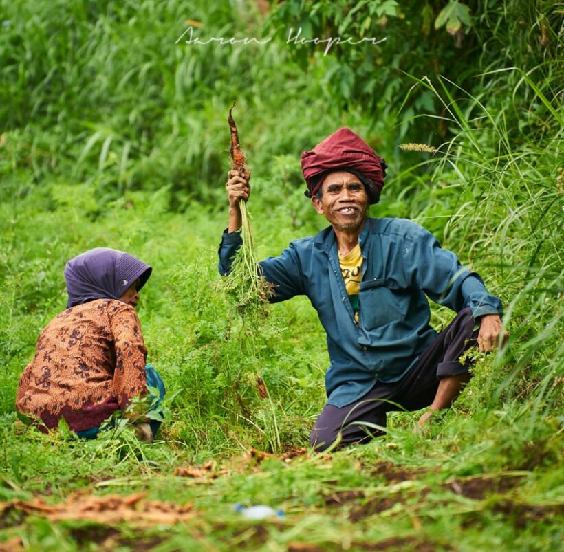 Hooper Trips Asia: Tennger Farmer