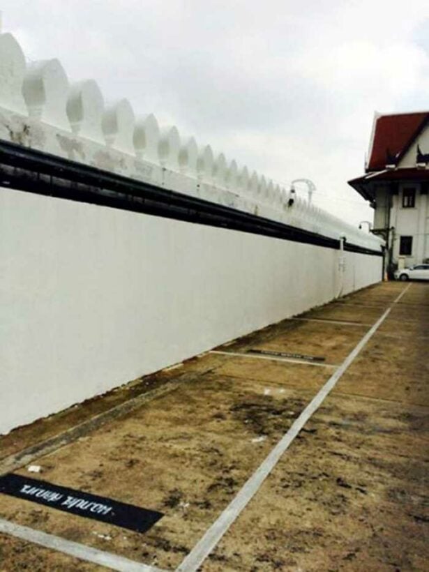 Plan to tear down palace wall opposed