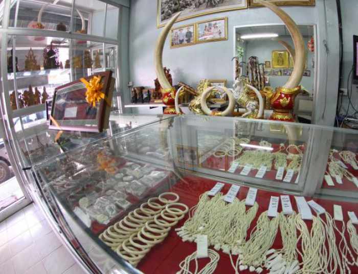 Thailand blasted for horrific rise in ivory trade