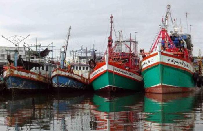 More than 8,000 illegal boats forced to stop fishing