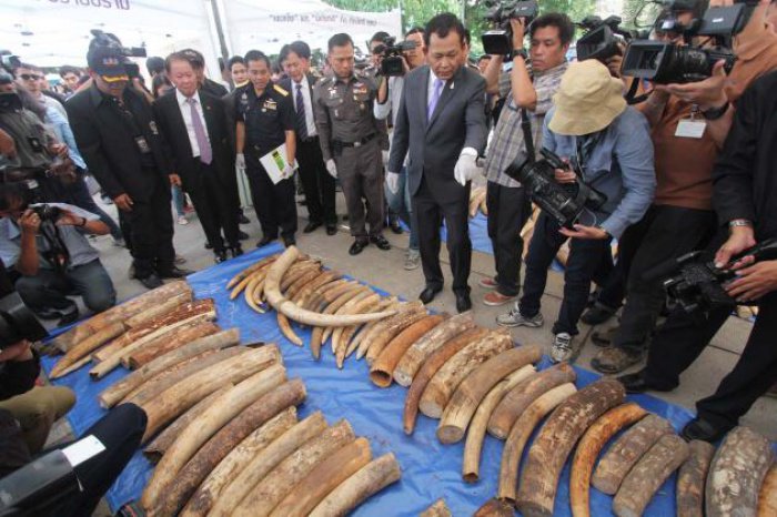 B200mn of African tusks seized in raid