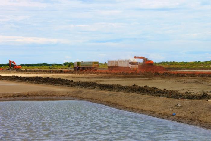 Farmers choose solar farm over our endangered spoon-billed sandpipers