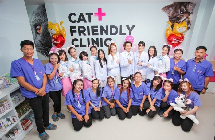 CFA dips into feline health care sector