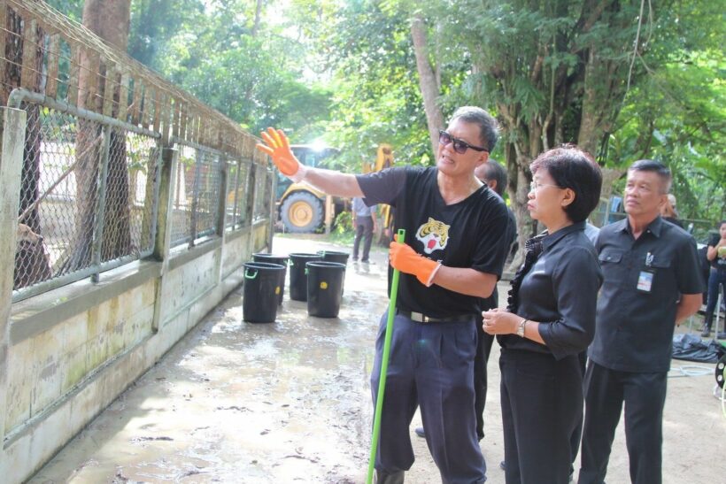 Phuket’s main soi dog shelter in Thalang gets a make-over