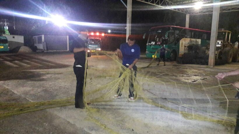 Phuket’s Croc Hunters