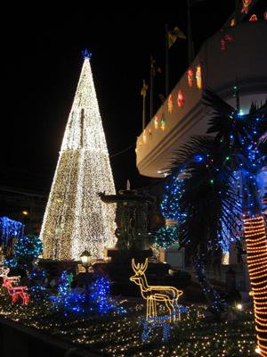 The Metropole lights huge Xmas tree