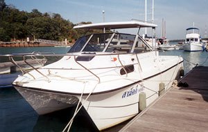 Another yacht seized for forged papers