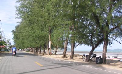 Rawai Beach vendors evicted