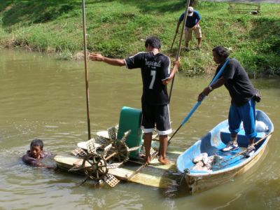 Suan Luang fish killers caught