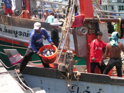 Phuket rated Thailand’s first “hygienic” fishing port