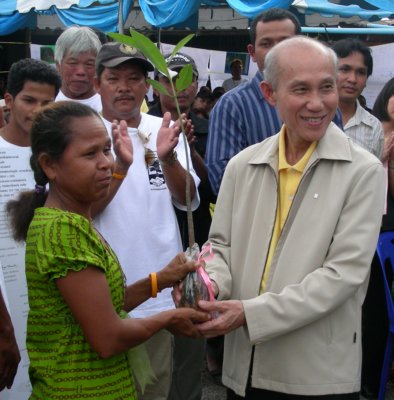 One million mangrove trees pledged for Phuket