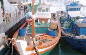 10 Indonesian fishermen nabbed