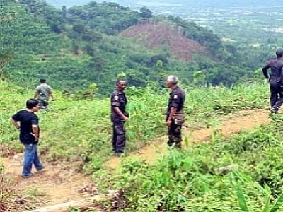 Officials raid illegal logging site near Phuket Town