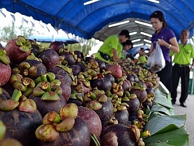 Phuket enjoys a fruity affair