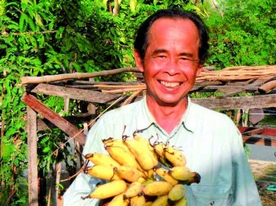 Phuket gardening: Going bananas