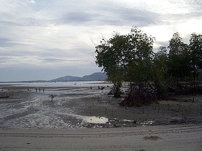 Two boys drown in canal along Phuket’s Phang Nga Bay coast