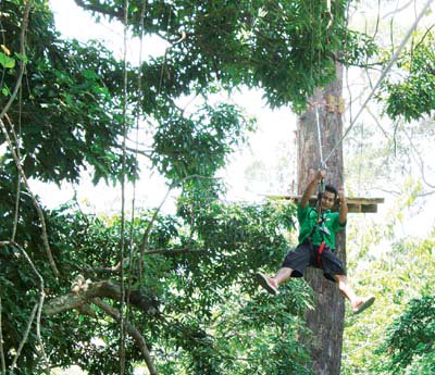 “Going ape’ in the trees of Chalong