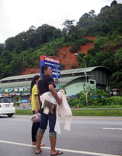 Phuket braced for landslides as more rain falls