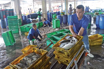 Phuket seafood prices to fluctuate regardless of wage increase