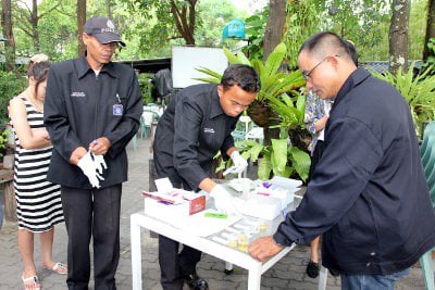 Phuket Police step up staff drug testing at late night venues