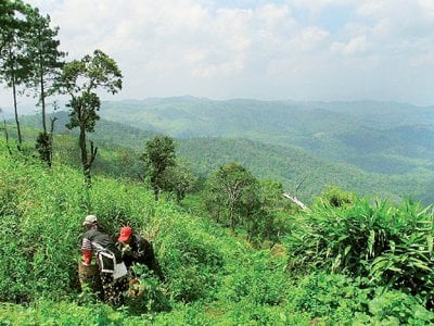 Phuket Gardening: North and South – The biodiversity of Thailand