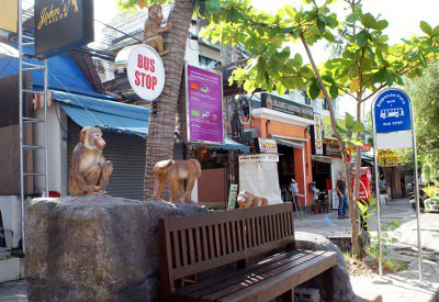 Phuket Gazette: Tourists go ape for Krabi bus stops