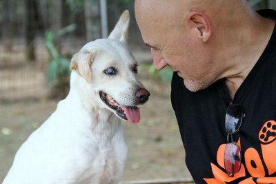 Phuket’s Soi Dog Foundation expands into Bangkok