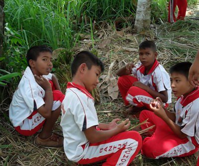 Bee swarm invades Krabi school