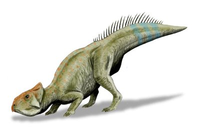 Phuket Gazette: New horned dinosaurs found in Canada