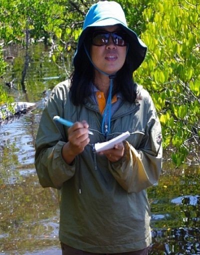 Phuket Gazette ‘Green Report’: Regional mangrove restoration project receives green light