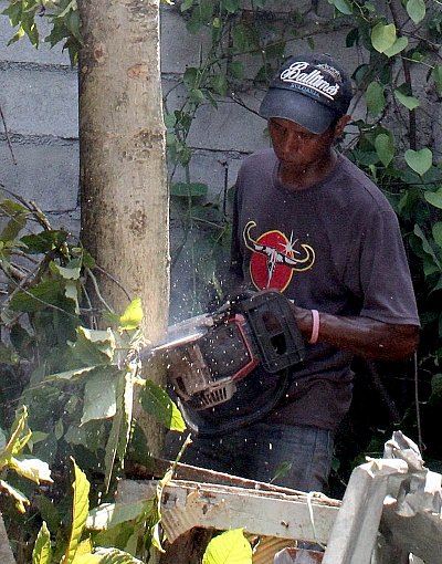 Phuket police take chainsaws to drug problem