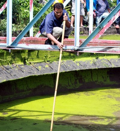 BREAKING NEWS: Phuket boy, 6, drowns in wastewater pool