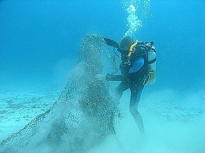 Phuket’s “Dive against Debris’ reef cleanup sets new world record