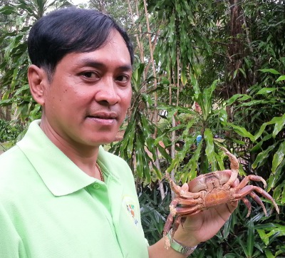 Rare “hairy leg mountain crab’ spotted in Phuket