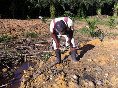 Krabi farm owners pleads for return of fossils