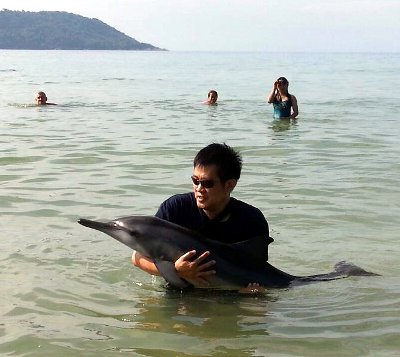 Stranded spinner dolphin rescued at Phuket beach