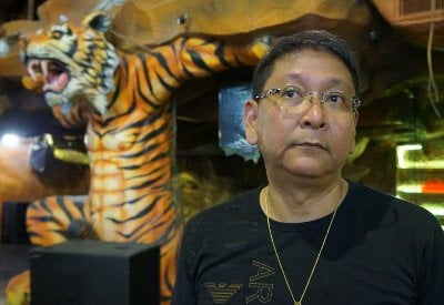 Phuket Prosecutor prepares to file charges against Tiger Disco