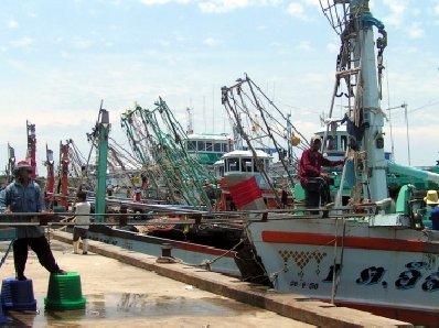 Investors target Phuket as tuna-industry hub