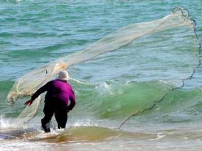 Phuket home to UN marine management project