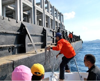 Ao Po Grand Marina, Phuket Thailand » Live coral planted at artificial reef  off Phuket