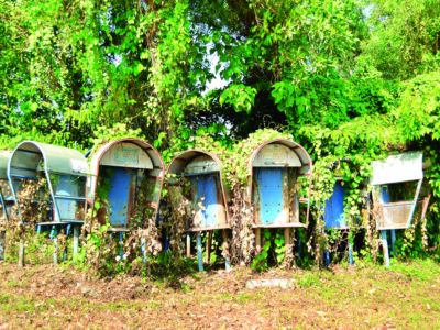 Phuket telephones: Phone booths dying but some to stay – for now