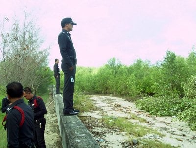 More mangrove encroachment in Phuket