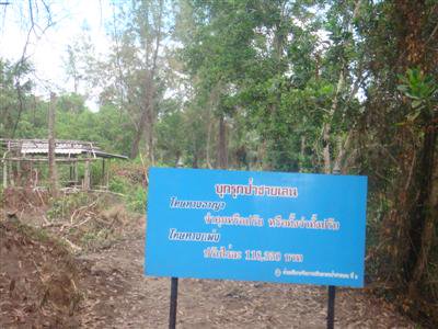 MNRE orders halt to Phuket mangrove destruction