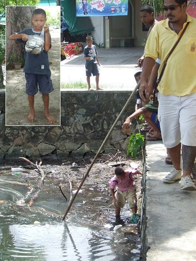 Fish die mysteriously in Phuket City