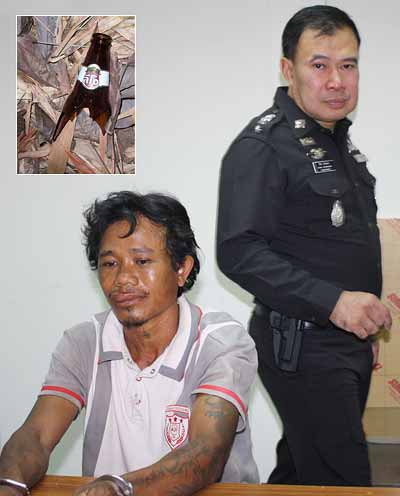 Phuket man slain by Leo-wielding Lao