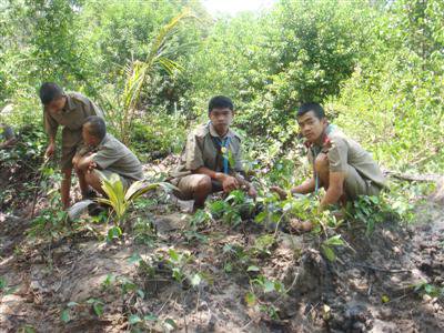 Mangroves planted in Phuket to honor HM The Queen