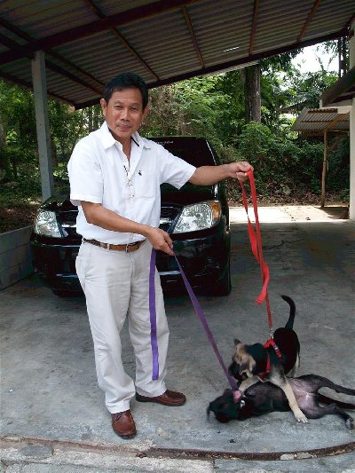 Phuket trains drug dogs